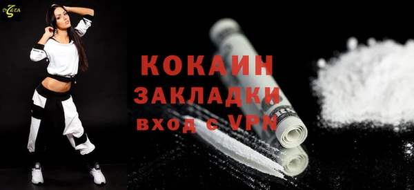 шишки Лихославль
