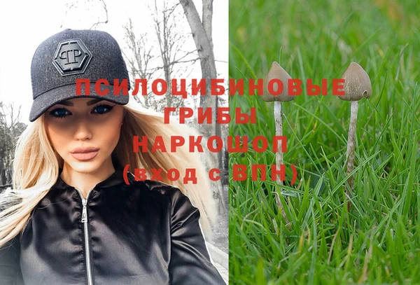 шишки Лихославль