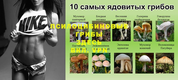 стафф Куйбышев