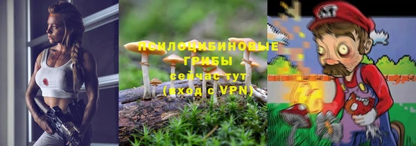 меф Гвардейск