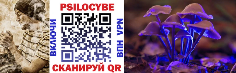 закладка  кракен как войти  Псилоцибиновые грибы Psilocybine cubensis  даркнет какой сайт  Малоярославец 