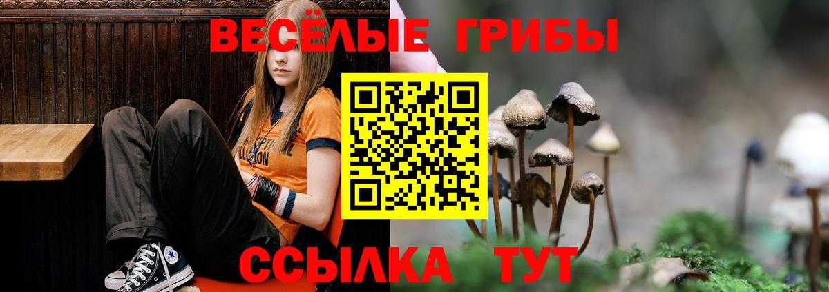 Галлюциногенные грибы Psilocybine cubensis Малоярославец