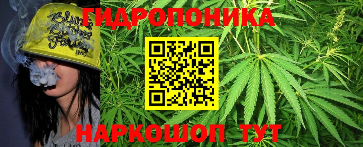 Малоярославец  Марихуана ГИДРОПОН  Канабис марихуана  Каннабис индика  Вход с VPN 